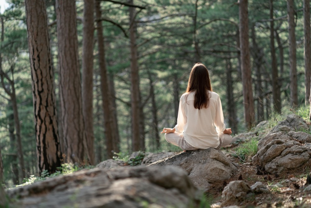 Séances de Yoga en pleine nature