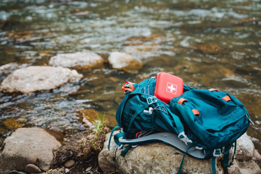 Organisation de camps en forêt