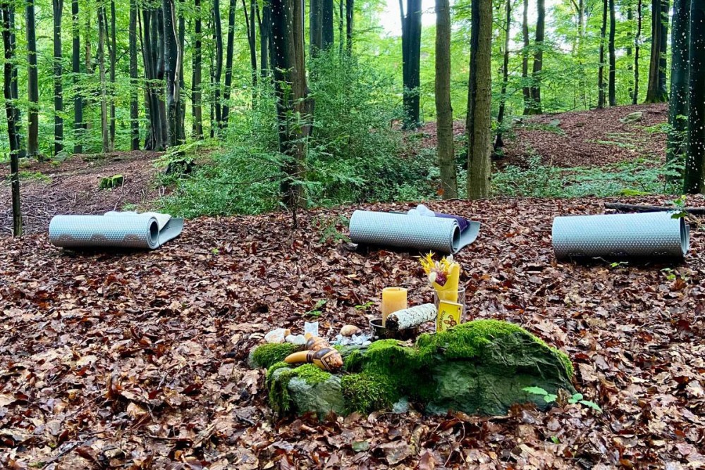 Programmation offerte